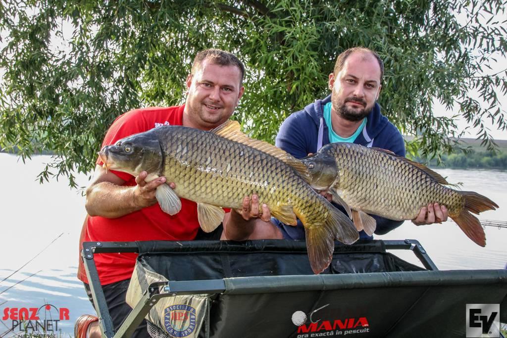 Chita 2 - ev-168zpsgoiqglsi.jpg